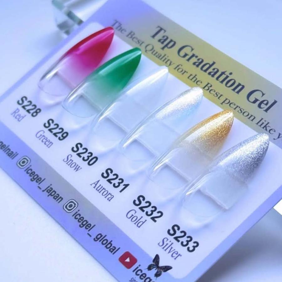 アイスジェル ICE GEL GENTLEON タップグラデーションジェル 2g 全6色