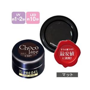 PREGEL プリジェル カラーEx ジェルネイル カラージェル 4g 207