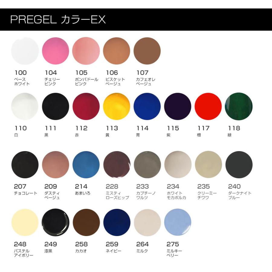 PREGEL 【ベース&トップジェルプレゼント! 】PREGEL カラー PREGEL 【ベース&トップジェルプレゼント! 】PREGEL カラー