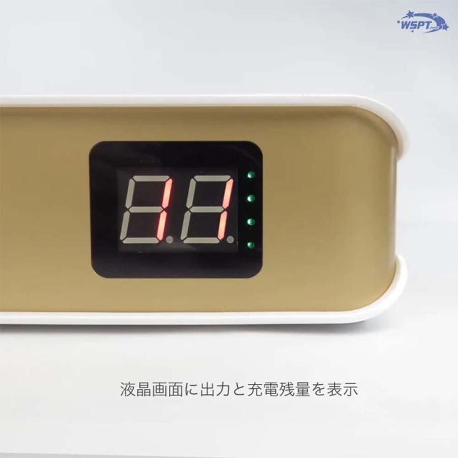 WSPT JAPAN 強力吸引集塵機 ハニカムダスター2 充電式 液晶表示 6ヶ月