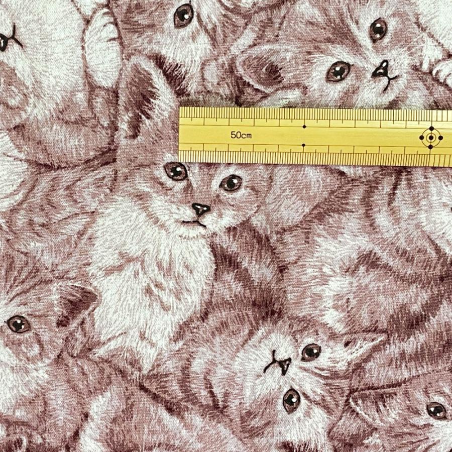 綿麻リアルプリントキャット アメリカンショートヘア 猫 ねこ ネコ