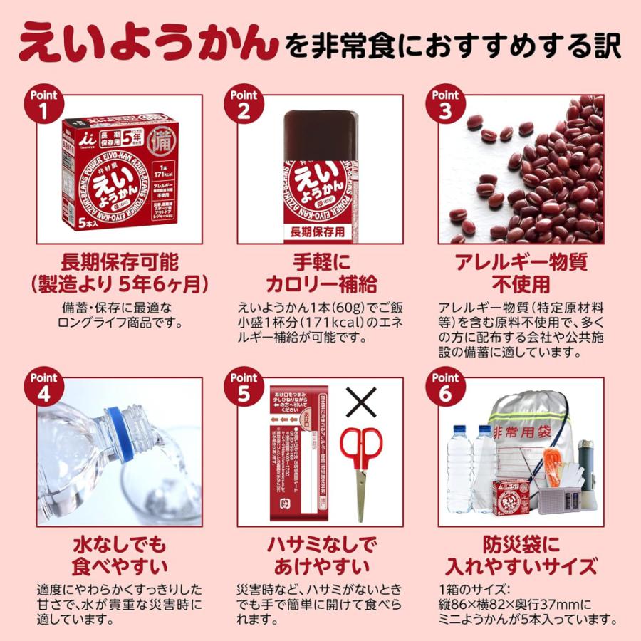井村屋　えいようかん　長期保存用 非常食 えいようかん5本入り_20個セット