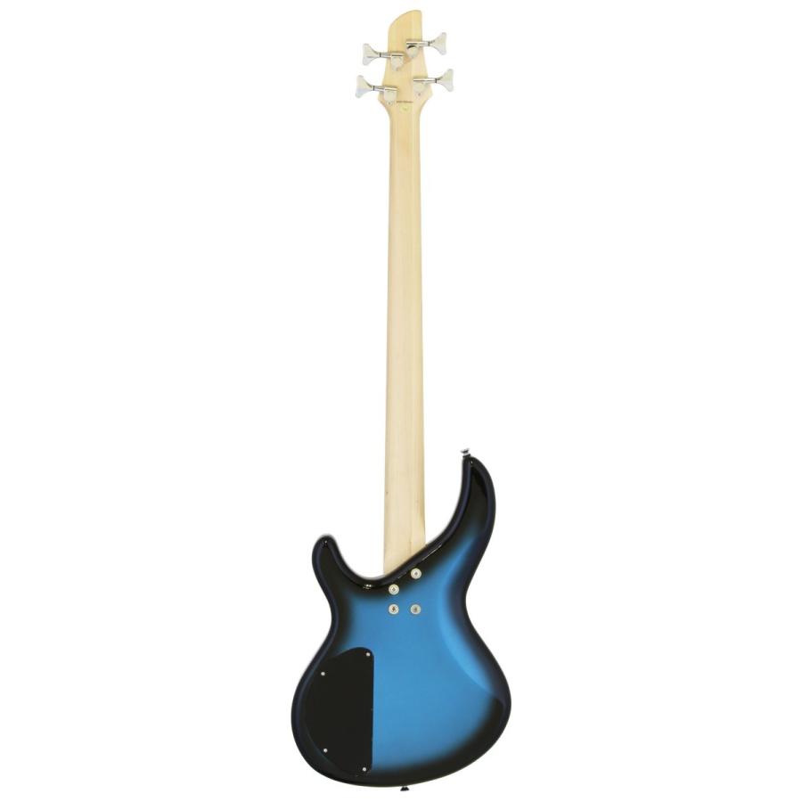 Aria Proll AriaProII IGB-STD MBS(Metallic Blue Shade) ＋ VOX