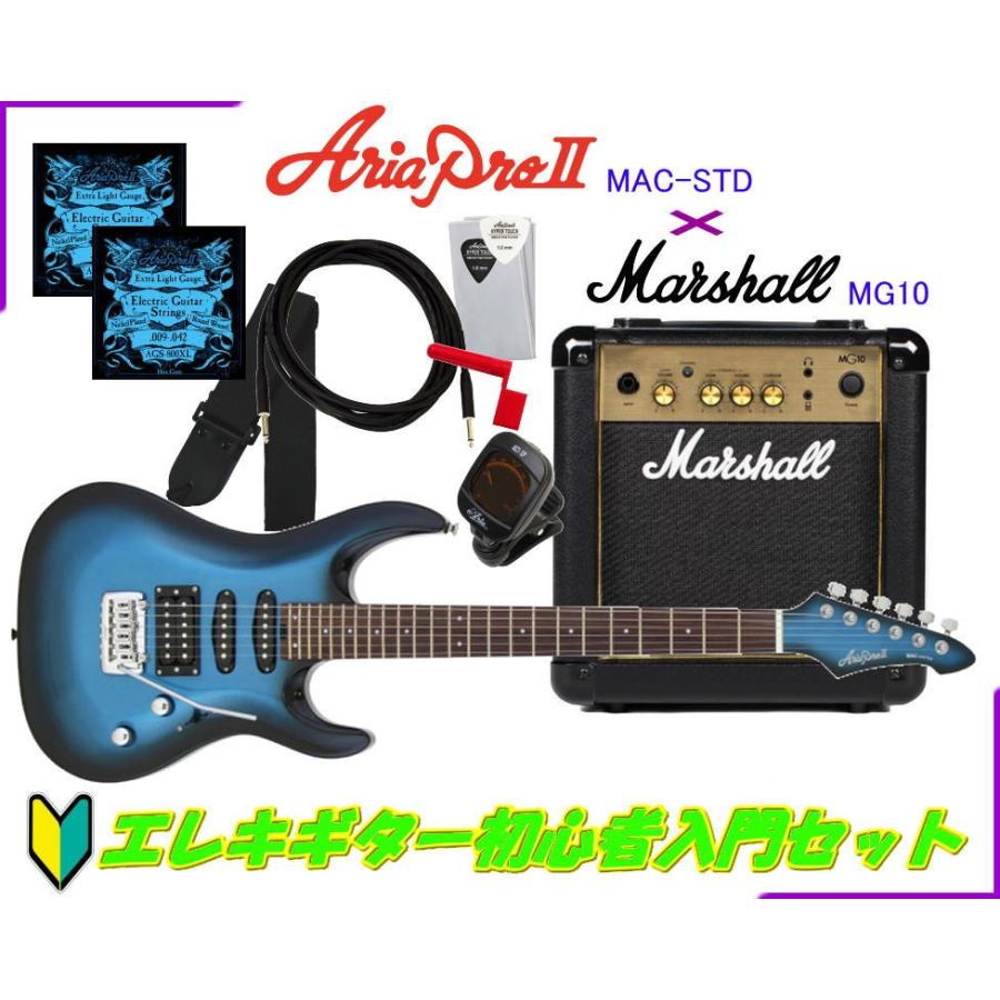 Aria pro II Mac-series エレキギター　シルバー Aria pro II Mac-series エレキギター シルバー MAC-STD - Aria