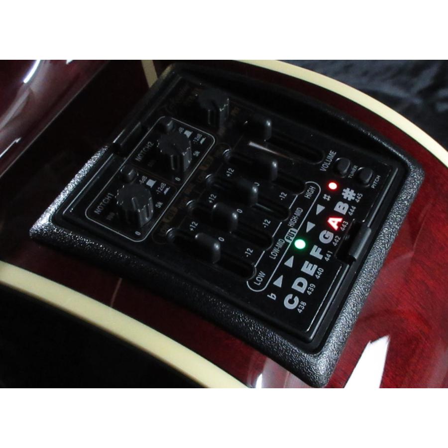 Takamine [※お取り寄せ商品] Takamine DMP551C WR タカミネ エレアコ