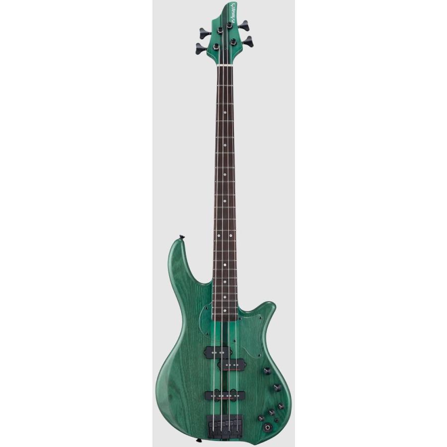 ESP [※お取り寄せ商品] EDWARDS E-BOTTOM BUMP 【Turquoise