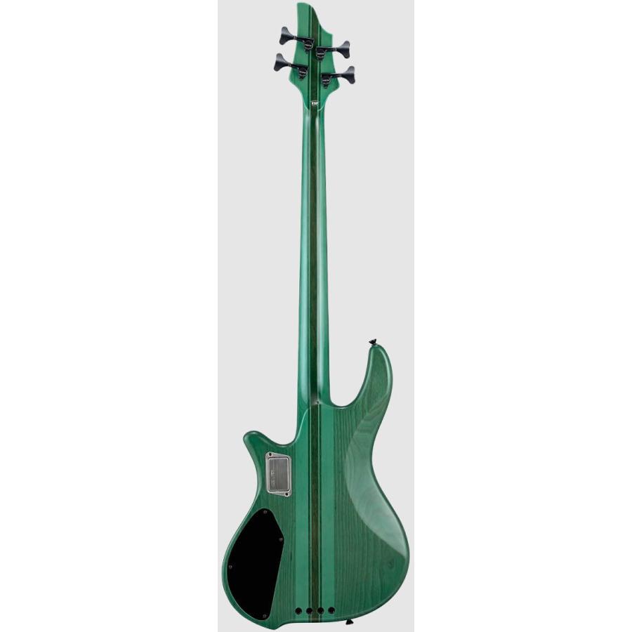 ESP [※お取り寄せ商品] EDWARDS E-BOTTOM BUMP 【Turquoise