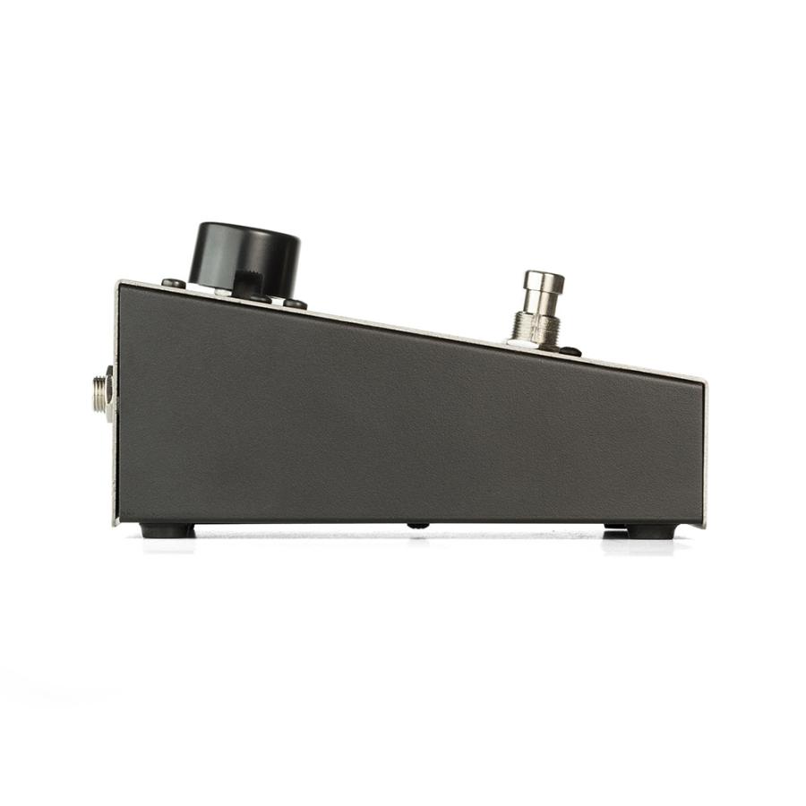 お取り寄せ商品] electro-harmonix Small Clone 【正規輸入品