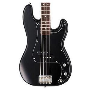 FUJIGEN [※お取り寄せ商品] FGN Fujigen NPB100RAL BK (Black