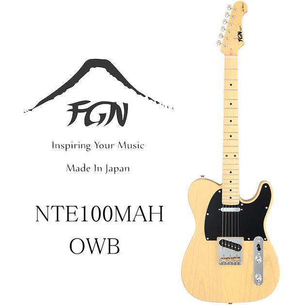 FUJIGEN（フジゲン） [※お取り寄せ商品] FGN FUJIGEN NTE100MAH OWB