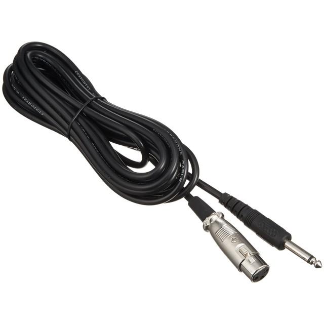 audio-technica AE6100 (カスタムトライCM-2000付き) AE6100｜マイクロホン：ダイナミックマイク｜オーディオテクニカ