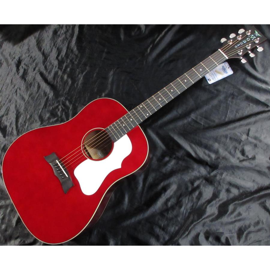 Morris アコースティックギターエレアコ 新品弦、ピン付き g021e-color.jpg