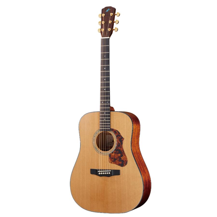 Morris M-82 NAT Hand Made Premium Series モーリス アコースティックギター ［只今 チューナーとギタースタンドとピック サービス中♪♪］の画像