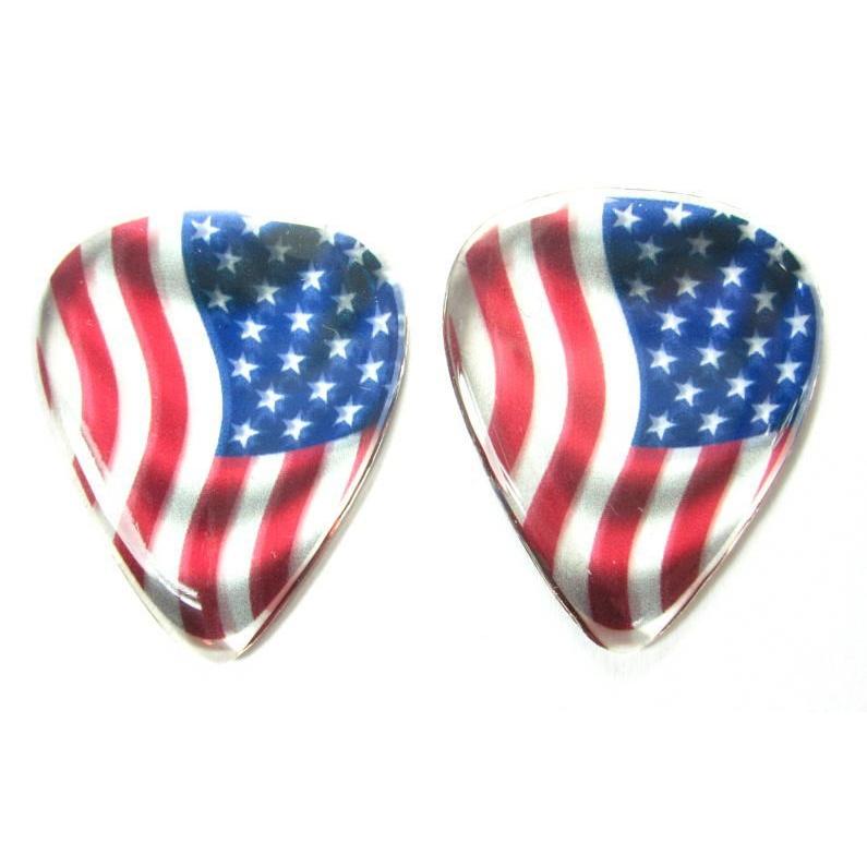 ピック　とてもレア物です。 Rick Rock ZBS-029-USA Guitar Picks リック・ロック ギター