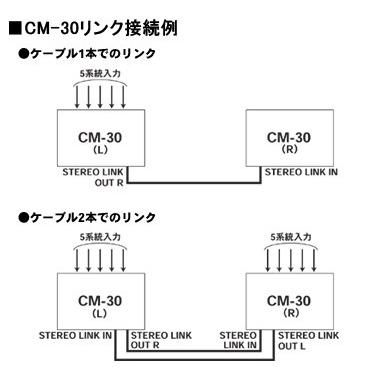 [※お取り寄せ商品] Roland CM-30 Cube Monitor ローランド キューブ・モニター モニター・アンプ｜g-sakai｜05