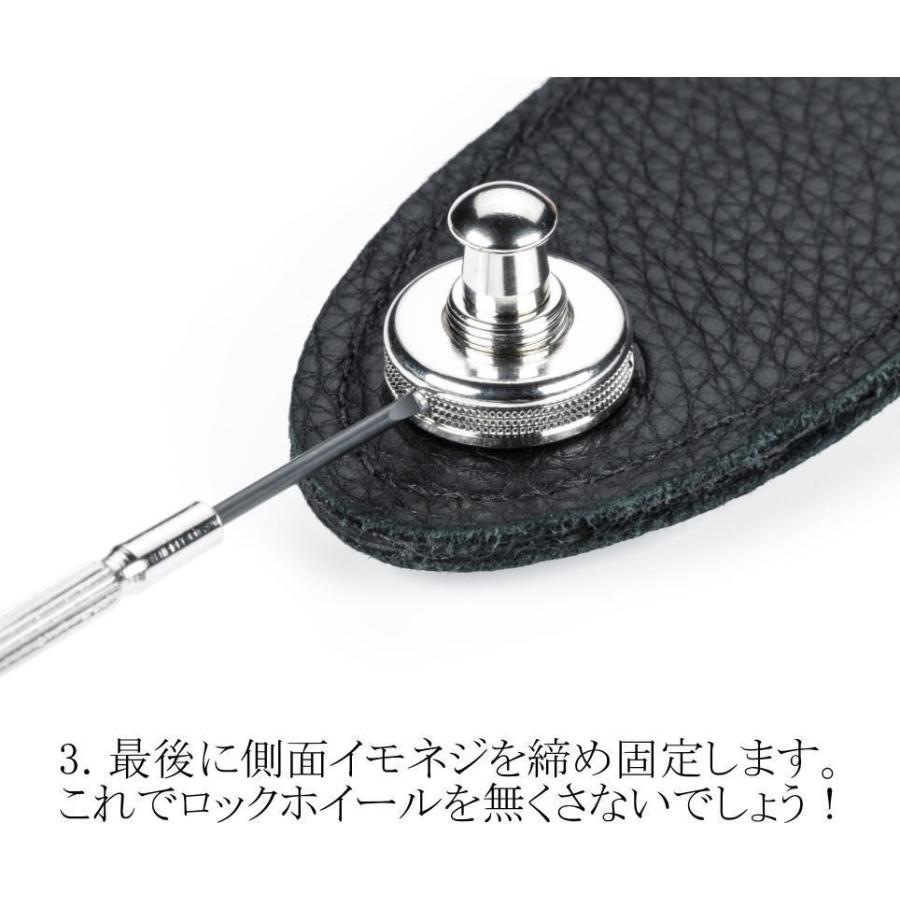 Schaller S-Locks-M Ni【Nickel】 シャーラー セキュリティ・ロック 