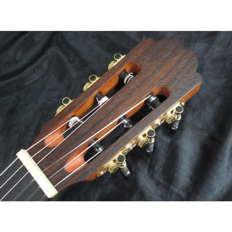 Stafford SFC-6CE スタッフォード エレガット : 楽器屋のSAKAI