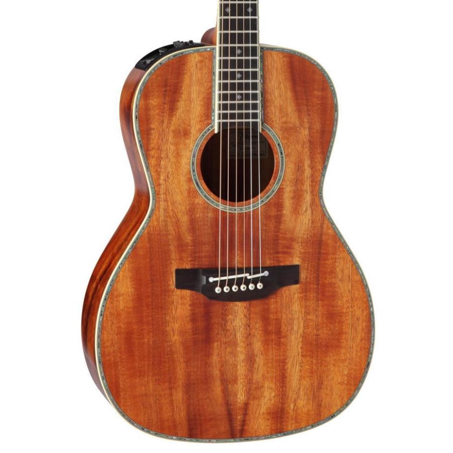 [※お取り寄せ商品] Takamine DMP400 N タカミネ エレアコ・ギター セミハードケース付属の画像