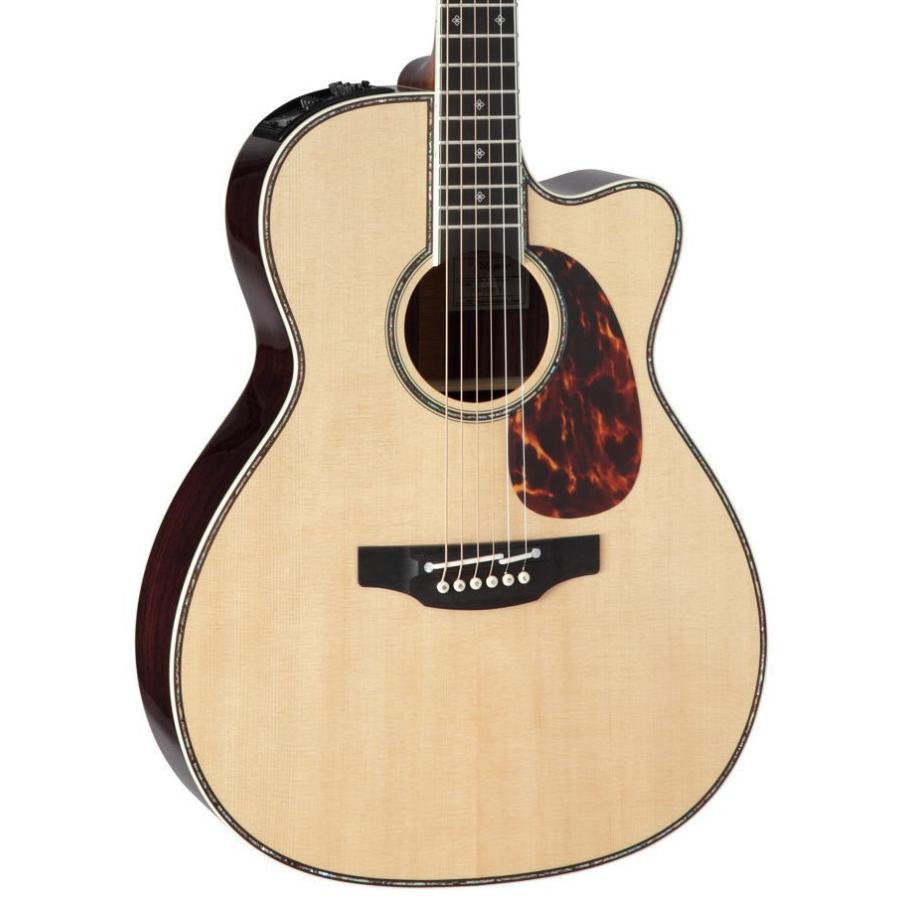Takamine DMP700 N タカミネ エレアコ・ギター セミハードケース