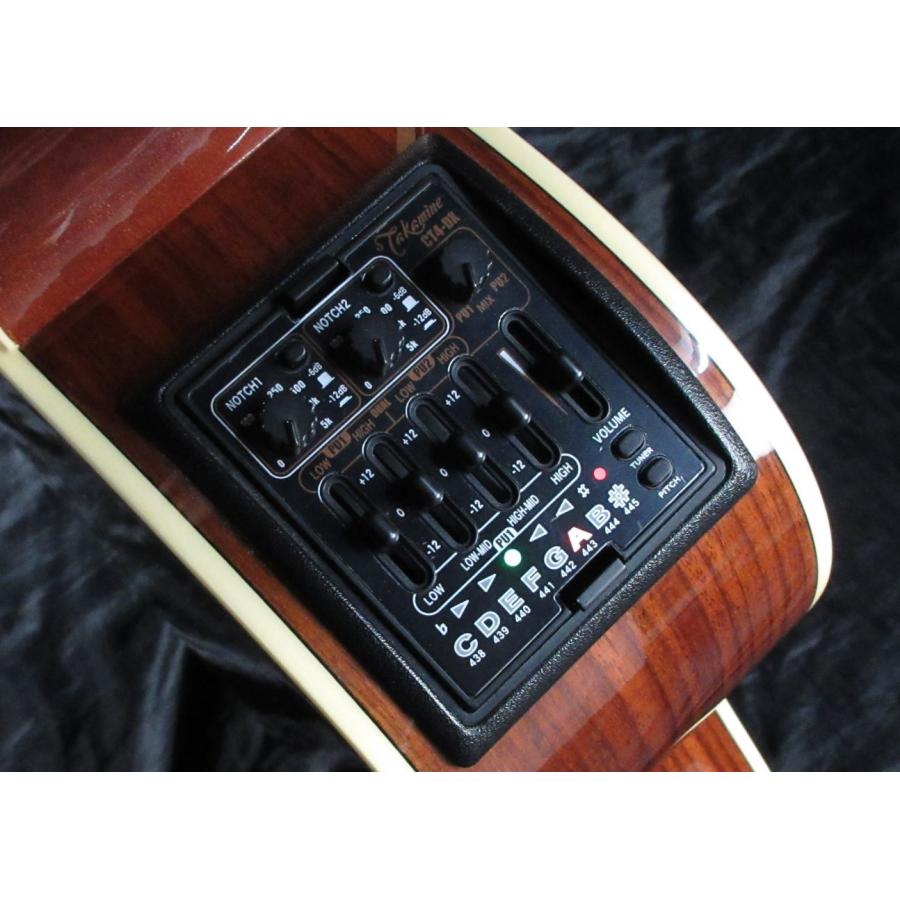 Takamine アコースティックギター ケース付き Takamine アコースティックギター ケース付き