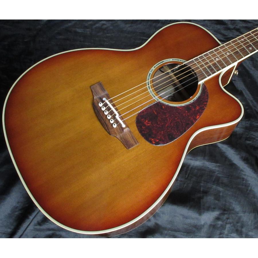 takamine アコースティックギター エレアコ 専用ケースあり Takamine DMP800 DAS タカミネ エレアコ・ギター セミハード