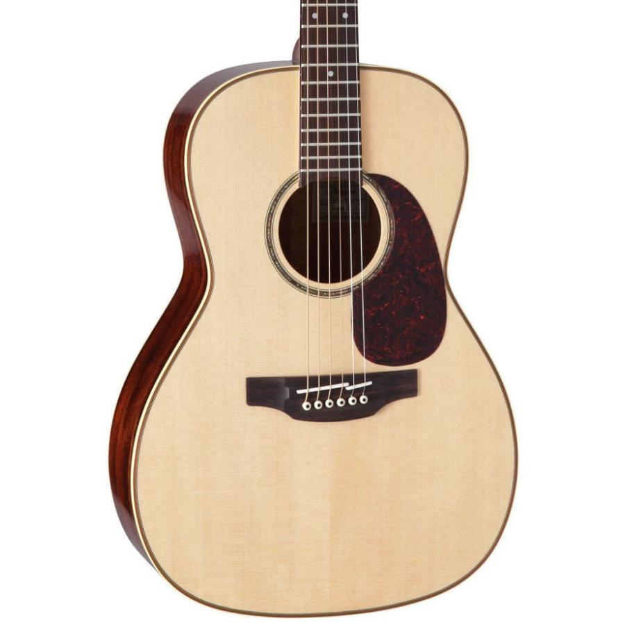 [※お取り寄せ商品] Takamine SA441 N タカミネ ストレート・アコースティック・ギター セミハードケース付属の画像