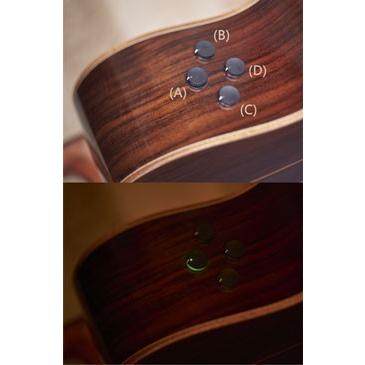 [※お取り寄せ商品] YAMAHA A5M ARE 【VN】 ヤマハ エレクトリック・アコースティック・ギターの画像