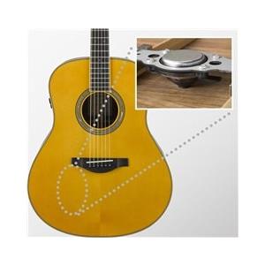 YAMAHA（ヤマハ） [※お取り寄せ商品] YAMAHA LS-TA 【BS】 トランス