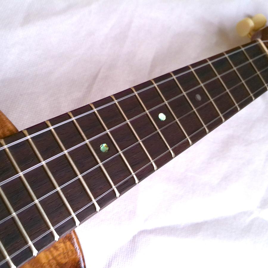 GStrings ソプラノウクレレ M1 Soprano Ukulele Tatoo Honu PFC ハード