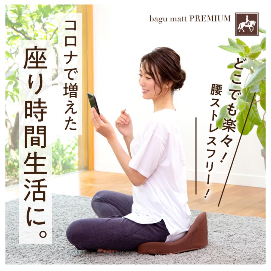 ドリーム 馬具マットプレミアム ブルー テレワークやオフィスでの
