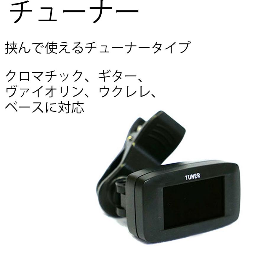AriaProII 5弦ベースギター IGB-STD/5B MBK＋チューナー＋ギター