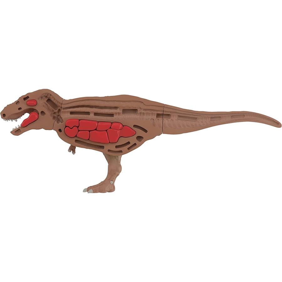 ティラノサウルス復元パズル 公式 メガハウス｜g-store1｜07