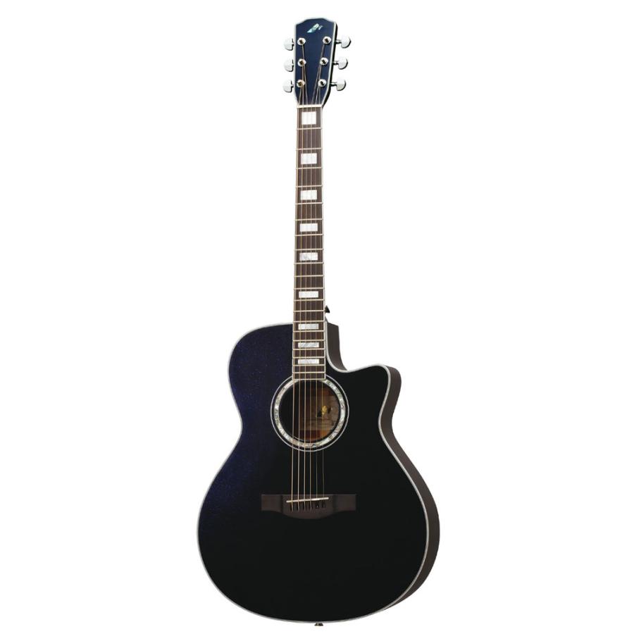 morris モーリス　アコースティックギター　W-15 Vintage Morris W-15 Acoustic Guitar with Hardshell Case