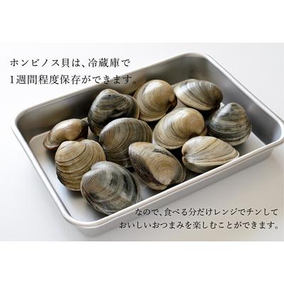 2kg 千葉県船橋産ホンビノス貝【漁師直送】【送料無料】お鍋に！★高評価獲れたて新鮮！（三番瀬）★お酒のおつまみ！｜g-system｜03