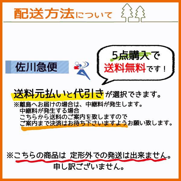 ○PB4a1761 シリンダーセット □標準タイプ□ ロビンエンジン ○PB4a1761 シリンダーセット □標準タイプ□ ロビンエンジン
