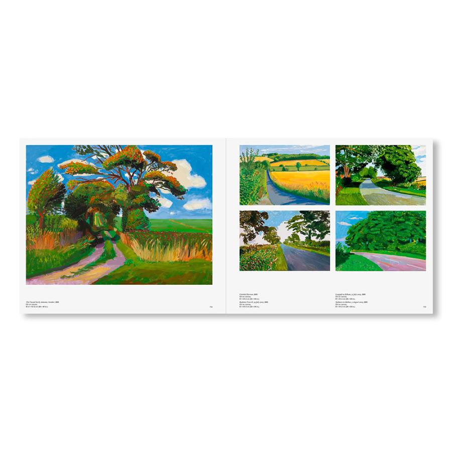 DAVID HOCKNEY by David Hockney（デイヴィッド・ホックニー） 作品集