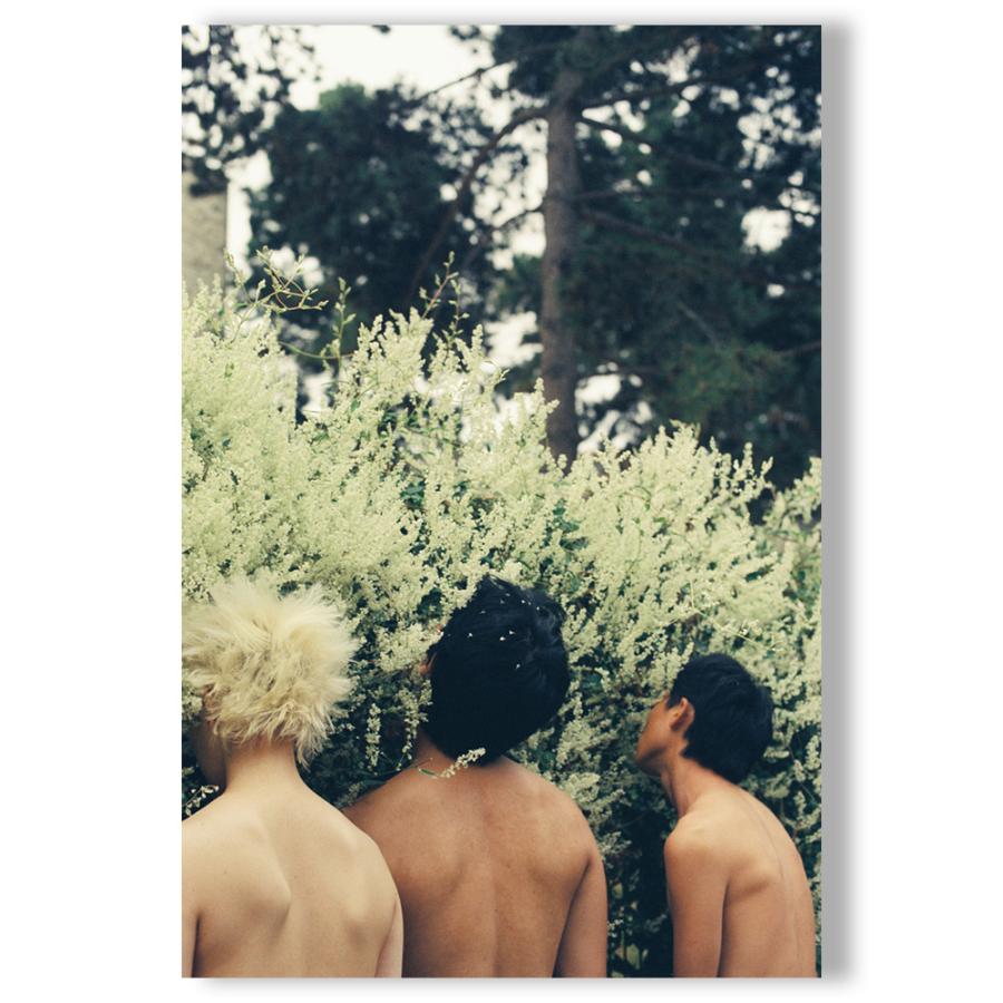 【限定800部／ナンバー入】Amour Defendu（禁色） by Lin Zhipeng（リン・チーペン）aka No.223 写真集の画像