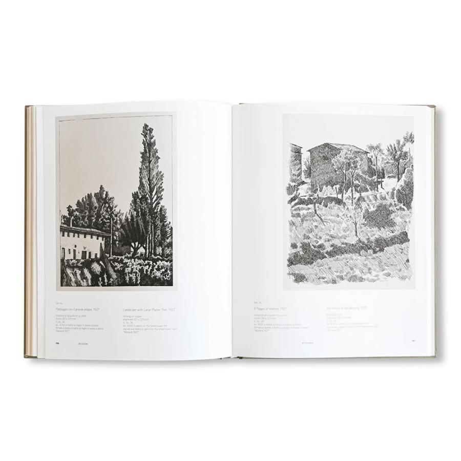 GIORGIO MORANDI: WORKS FROM THE ANTONIO AND MATILDE CATANESE