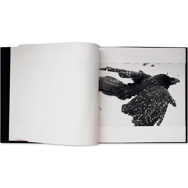 『鴉 RAVENS』by Masahisa Fukase（深瀬昌久） 写真集の画像