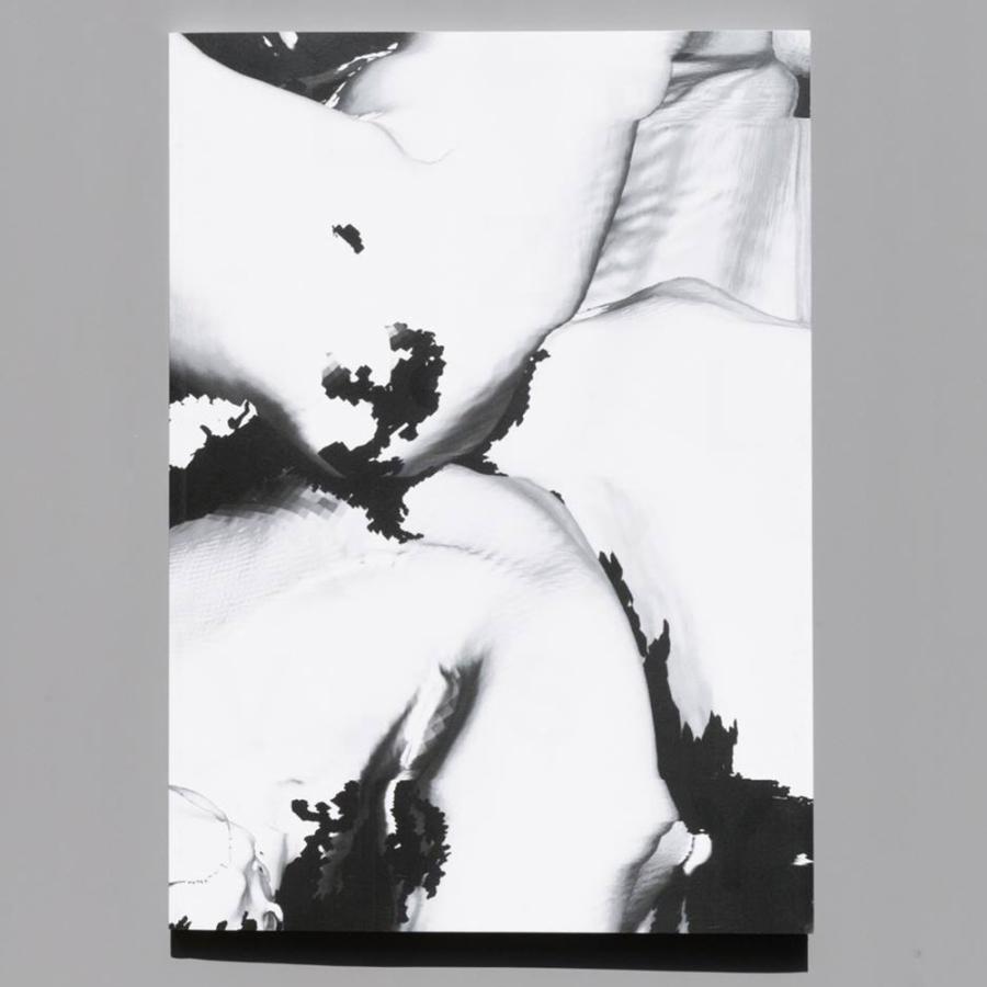 VESSEL-XYZXY／彫刻家・名和晃平と写真家・小山泰介のコラボレーション