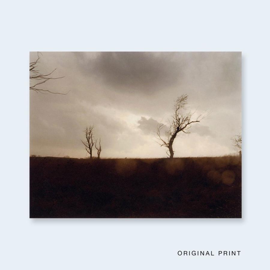 TODD HIDO | One Picture Book #59: Cracked Trees 【限定500部