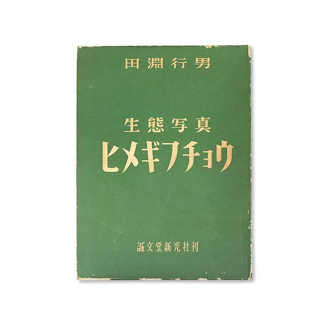 田淵行男「ギフチョウヒメギフチョウ」