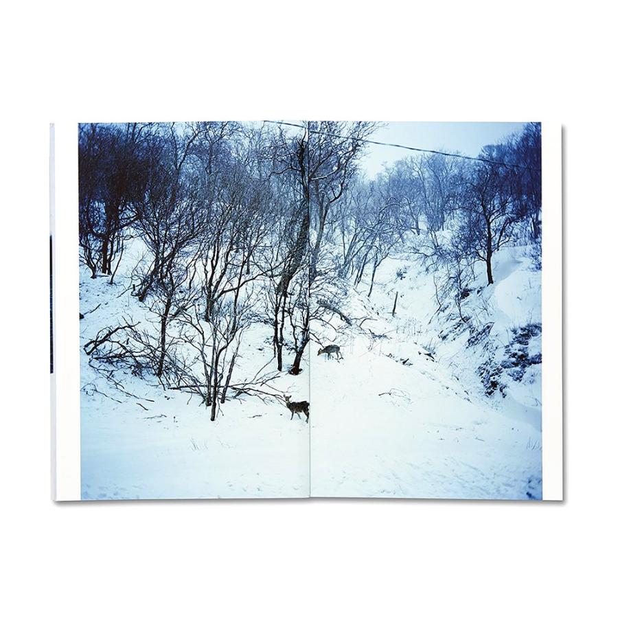 Trails by Takashi Homma　ホンマタカシ 写真集｜g-tsutayabooks｜05