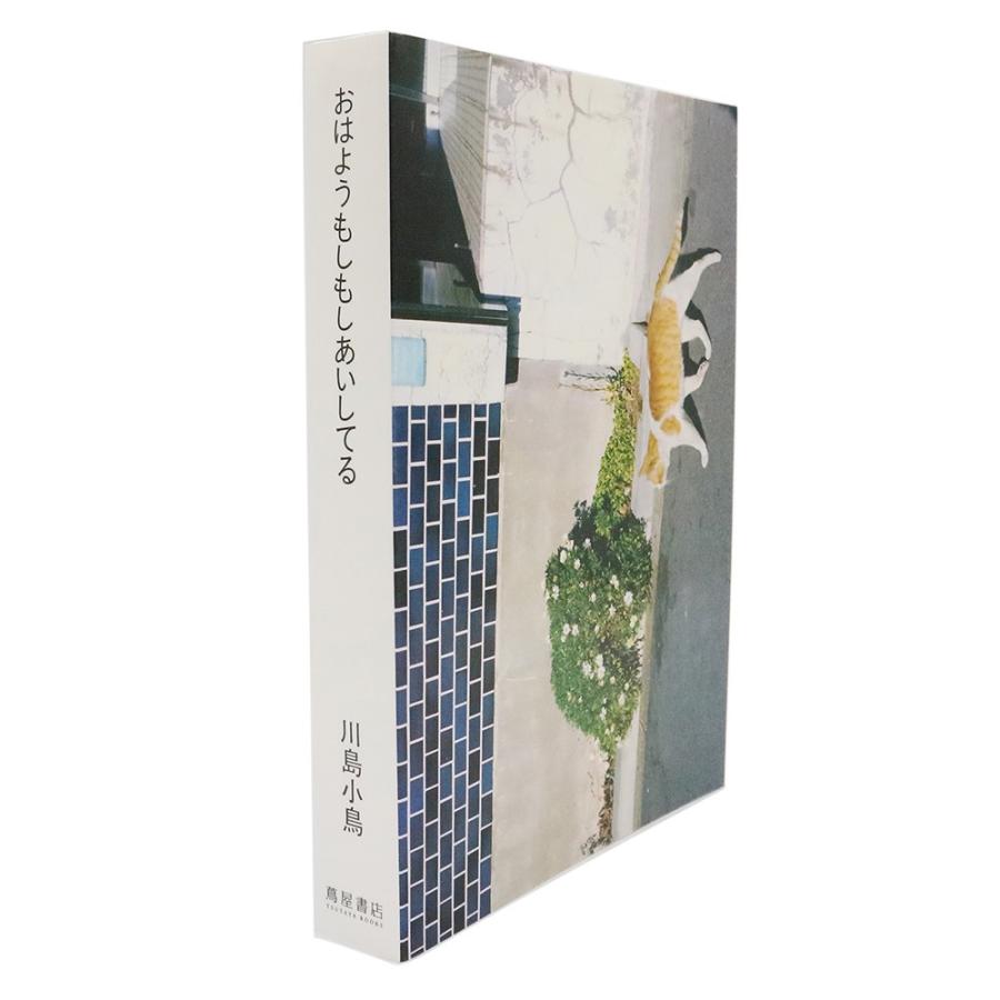 通常版 おはようもしもしあいしてる 川島小鳥作品集 : 銀座 蔦屋 通常版 おはようもしもしあいしてる 川島小鳥作品集 : 銀座 蔦屋