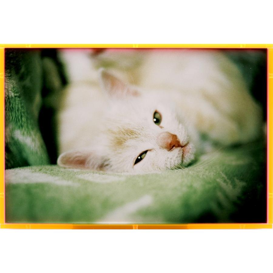 日本最大級 川島小鳥 おはようもしもしあいしてる アクリルフレーム作品プリント No 10 受注制作 メール便なら送料無料 Greasemanagement Org