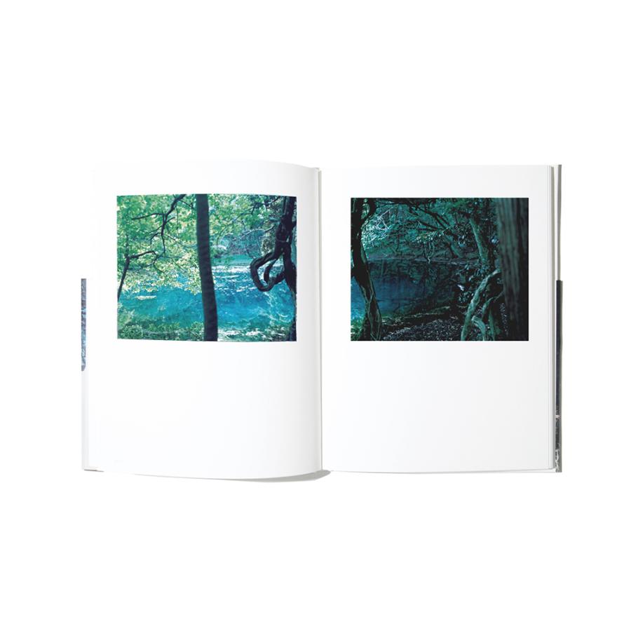 鈴木理策 / 写真集2冊セット（Sakura、White） 【公式通販】