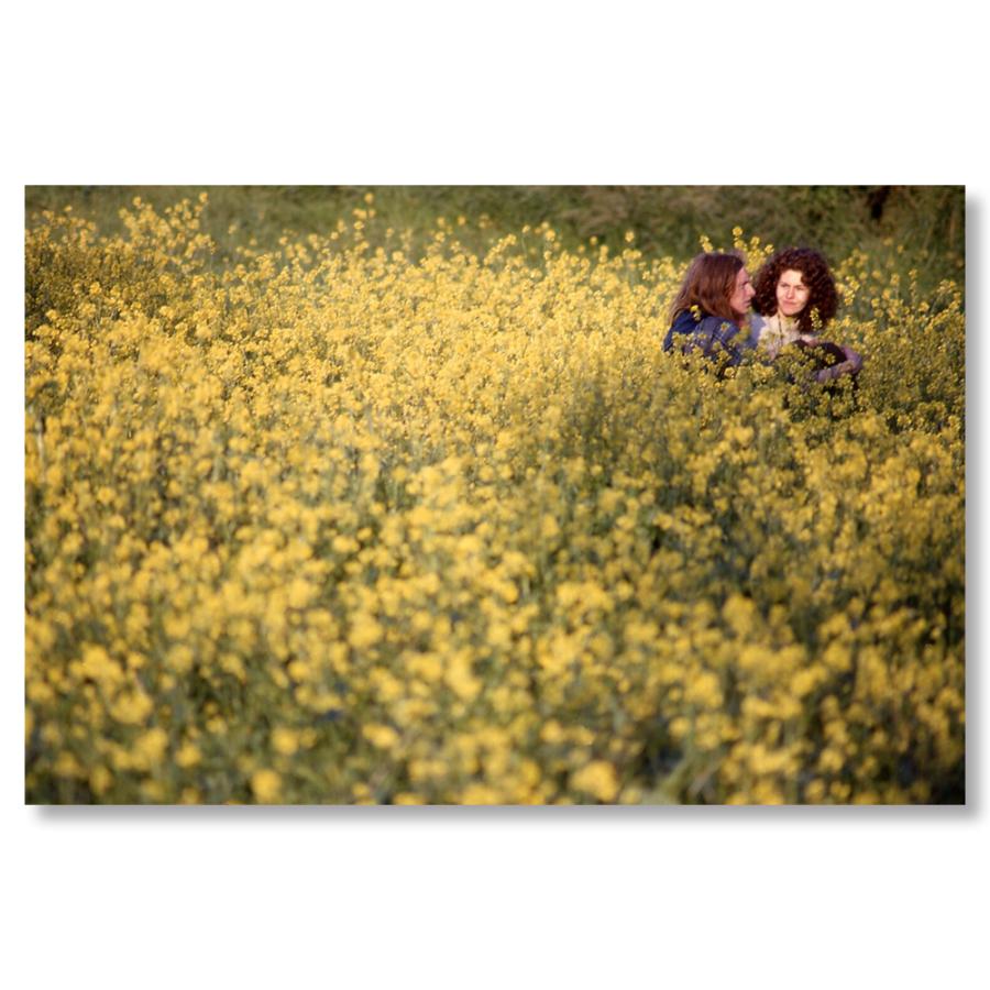 In the Vale of Avalon: Glastonbury Festival 1971 ポール・ミッソ 作品集の画像