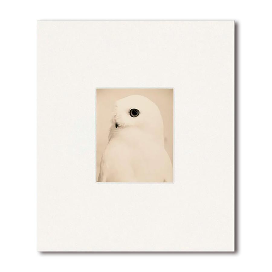 初版1000部限定】Yamamoto Masao 山本昌男 写真集 : 銀座 蔦屋書店