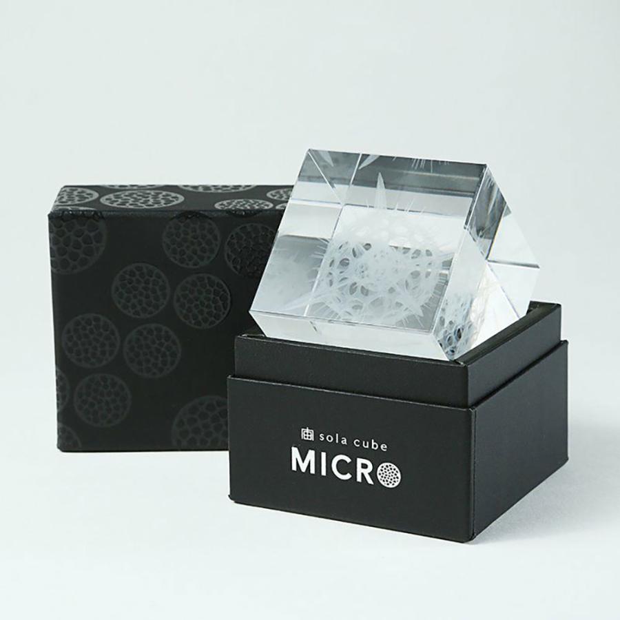 Sola cube Micro バクテリオファージ T4 : 銀座 蔦屋書店 - 通販