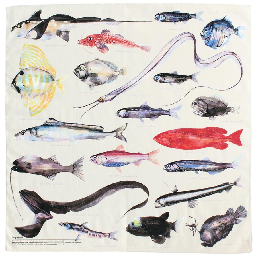 訳あり 長嶋祐成ハンカチ 深海魚図譜
